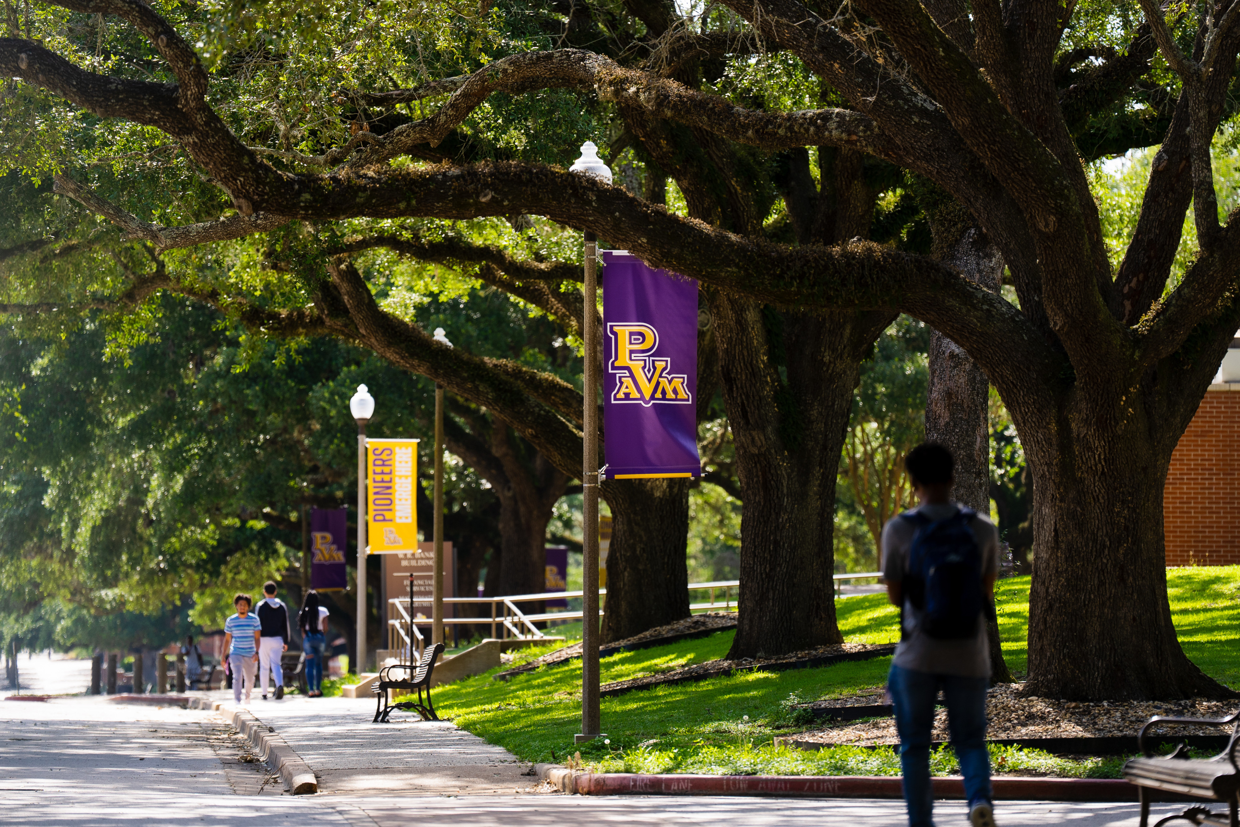Waller, TX artificial turf projects